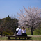 230401奈良公園47