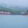 雨に煙る中子の桜