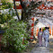 竹中稲荷神社の桜