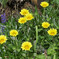 _DSC9792_DxO