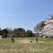 IMG-1553