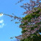 "here comes spring"