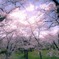大町公園