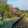 わたらせ渓谷鉄道駅