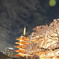 何か好き