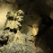 The king of the cave
