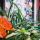 花×写真展