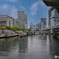 水晶橋春景