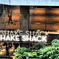 SHAKE SHACK ×　2！！