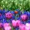 DSCF2058