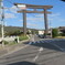 sakurisunsa