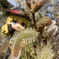 桜沢みなの___23-03-21 08-24-32 1675