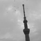 ツリー