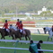 福島競馬場3