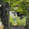 唐澤山神社の鳥居から