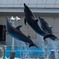 DSC_7188_edited-1