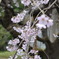 "here comes spring"