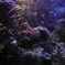 photo_1173408
