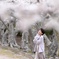 いつも笑桜