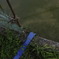 photo_1173458