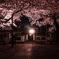 仙台・松音寺