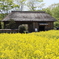 宮城県川崎町・みちのく杜の湖畔公園