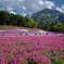 見下ろす神の山