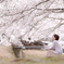 桜の木の下で