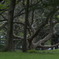 航空公園