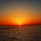夕日1