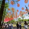 colorful☆彡balloon