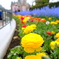 Tokyo Disney Land 1