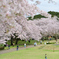 公園にて
