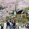 人だかり（公園にて）