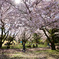 公園にて