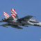 「SILVER EAGLES」1