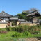 明日香Tela