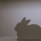寂しがりやのうさぎ