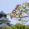 大阪城