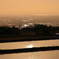 Rice fields in spring