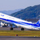 ANA Airbus A321