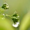 雨の後に