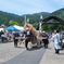 「付知　森林の市」から。