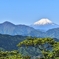 高尾山から富士