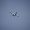 ＪＡＬ　飛行機