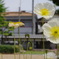 IMGP0019__250_F080_00200_050_---_K-7