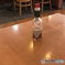 置いてけぼりのTabasco.