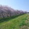 川越水上公園
