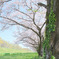 川越水上公園