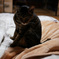 DSC02928s